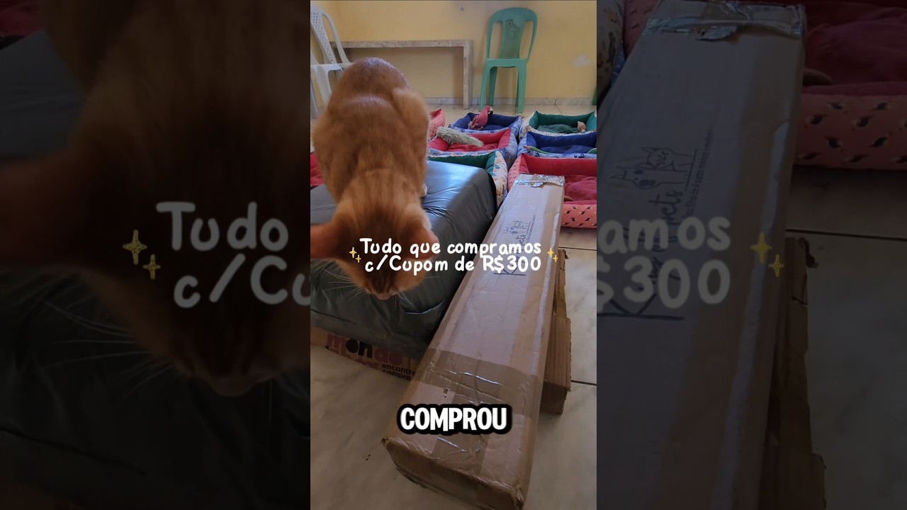 Parte 1 da gatificação com ajuda da 