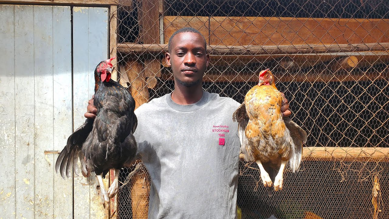 Okukyalila omulunzi wange Andrew owe nakawuka.