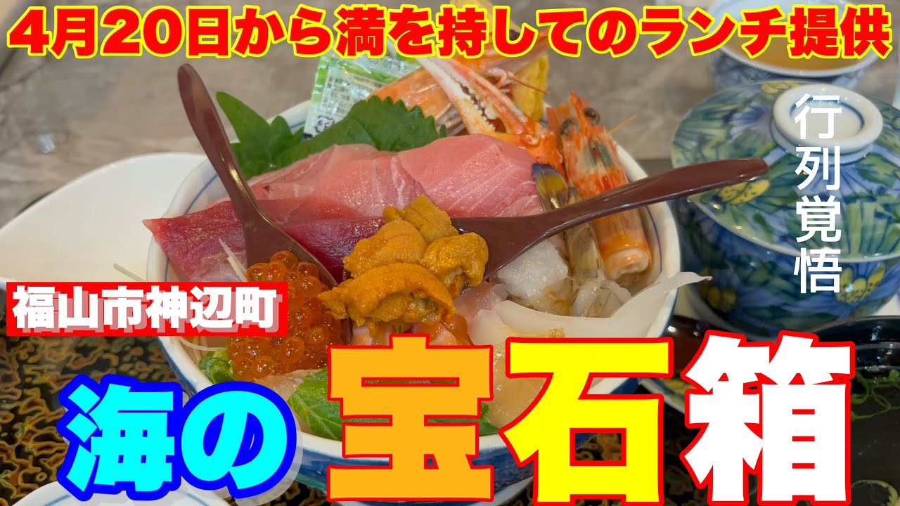 【福山市】4月20日からランチ提供始められた神店！神辺町に脅威の海鮮丼を発見！#魚博　#福山市　#福山市グルメ