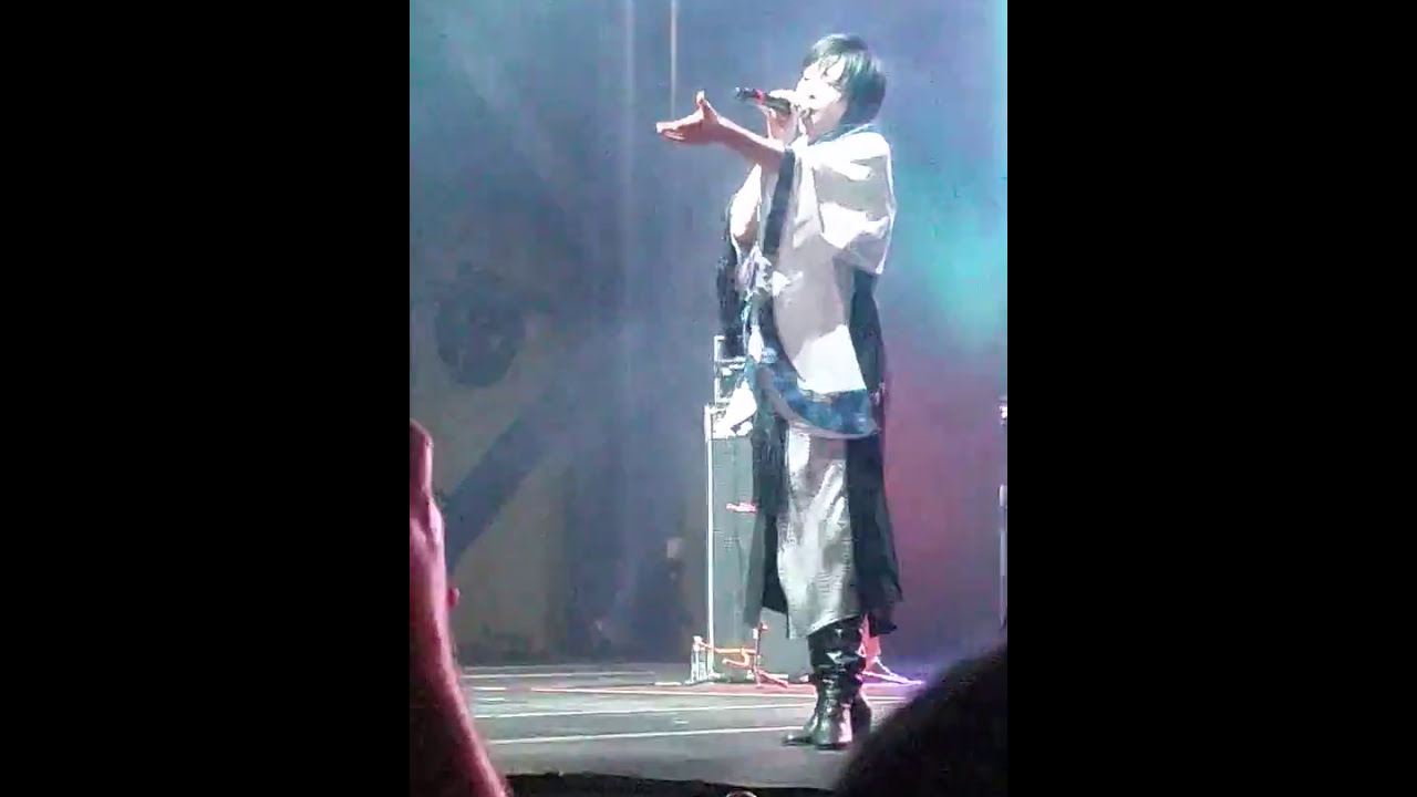 Disacode - Tsubaki [椿] LIVE Houston,Tx [2017.04.08]