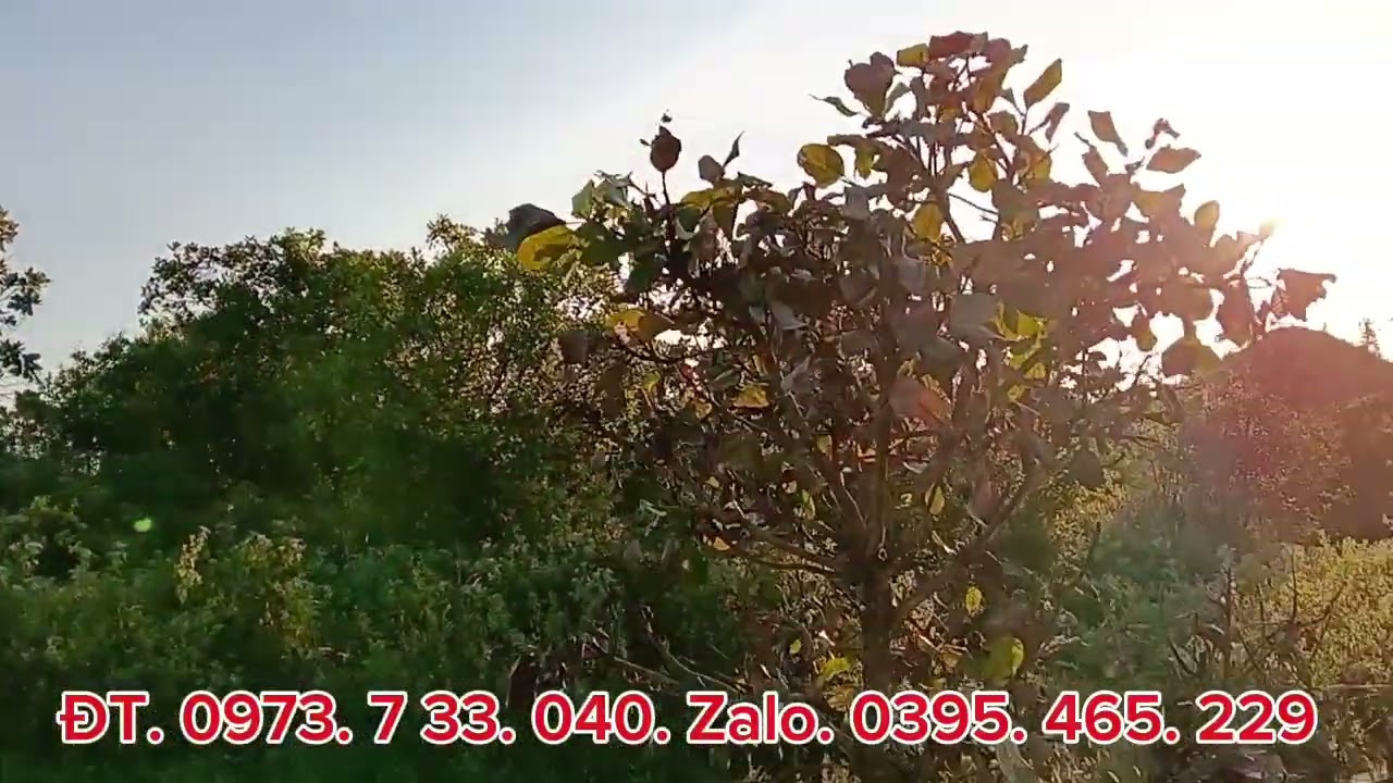 Chủ cần sang nhượng. 2,7 ha. Điều kinh doanh. Giá 150 Triệu.