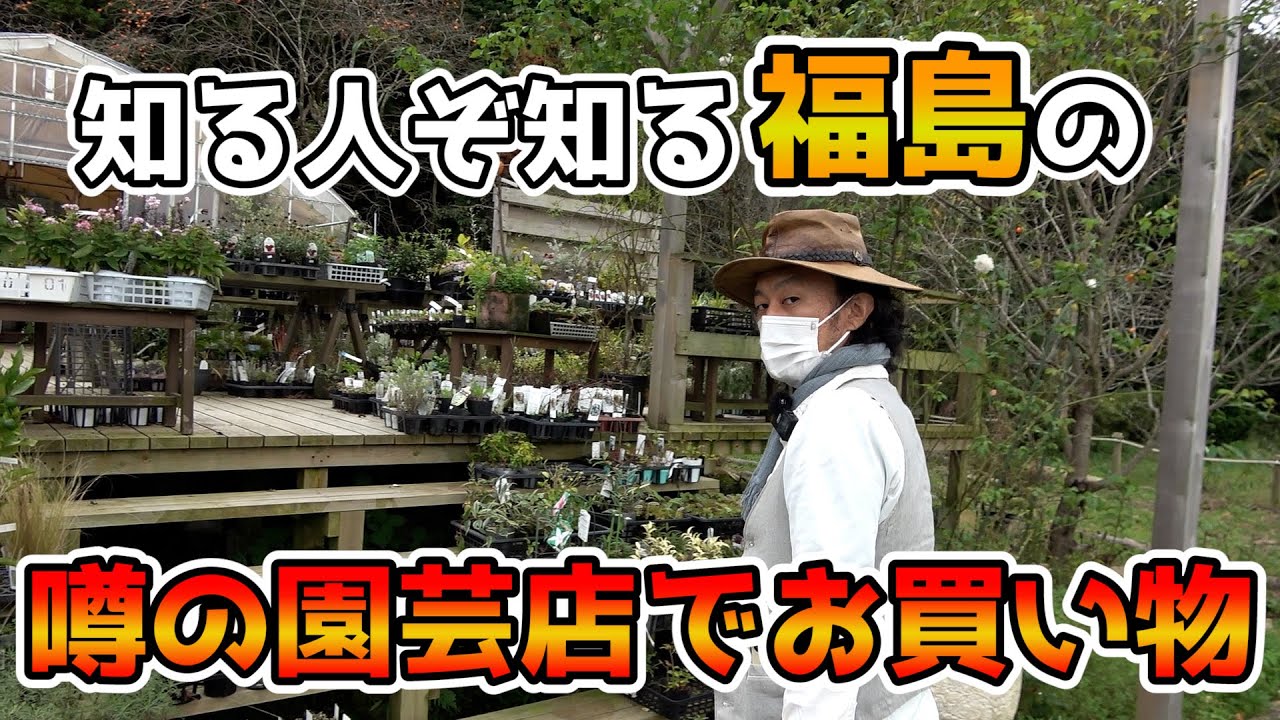 【福島の園芸店】買い物をとことん楽しみました【Usual garden works】【カーメン君】【園芸】【ガーデニング】【初心者】