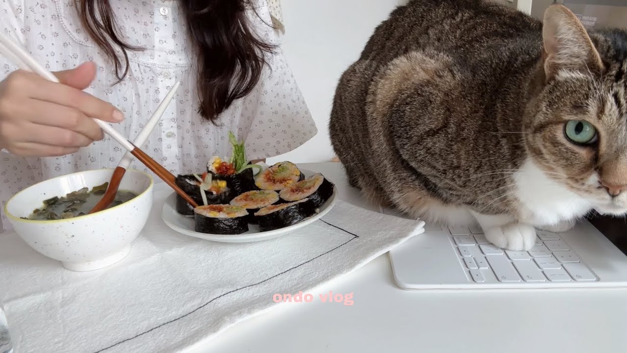 ENG)오이김밥 만들고,혼자 떡볶이 맛집,평양냉면 맛집 투어하기,드디어 퍼스널컬러 진단 받은 일상