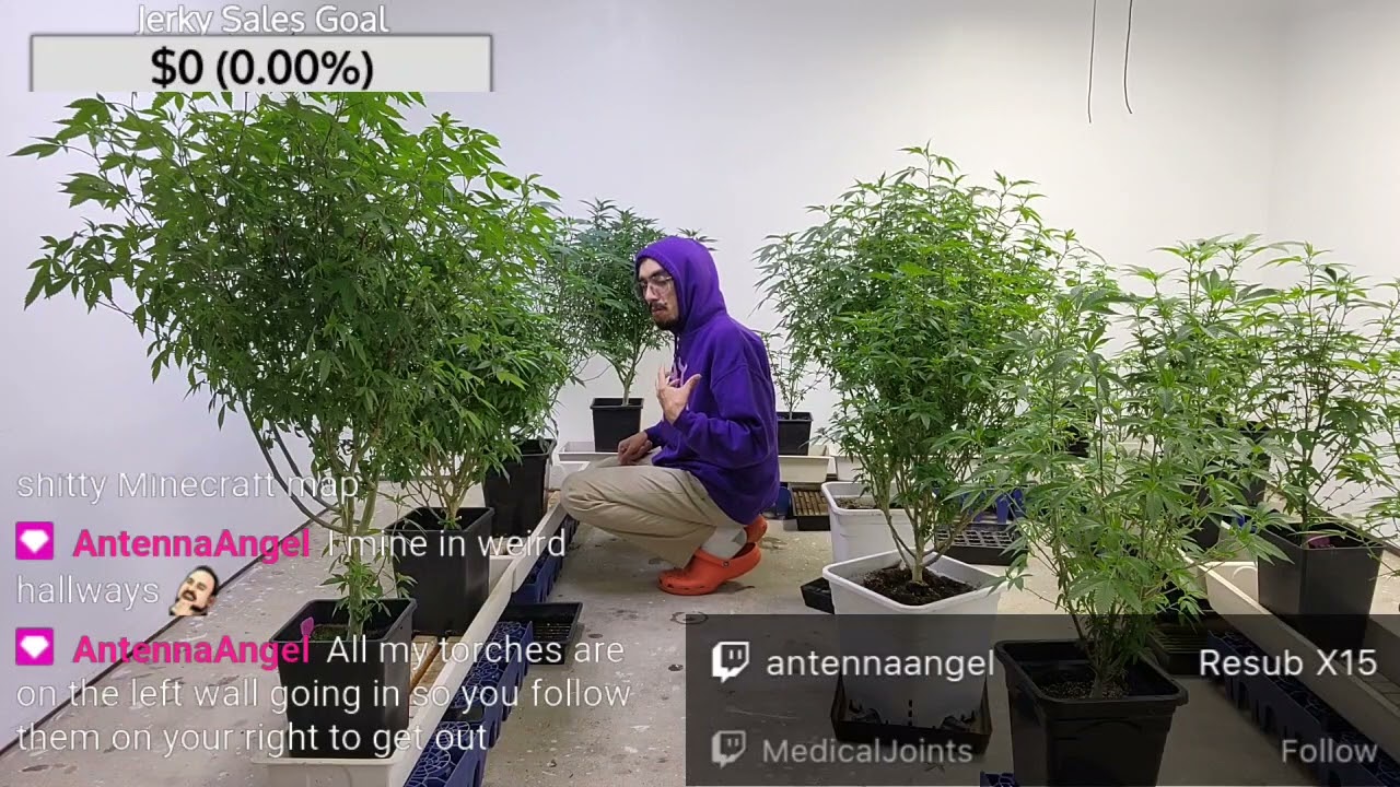 Cannabis gardening - Slow & Deliberate watering - Soil moisture tension