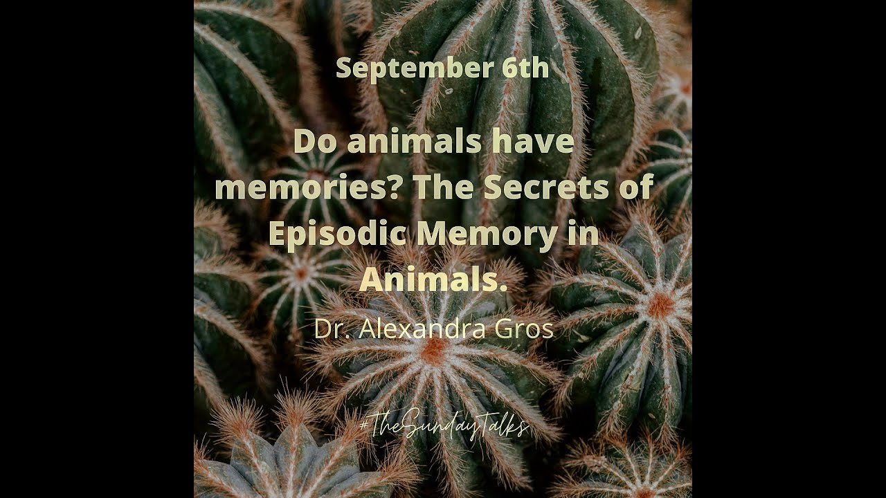 Do animals have memories? The Secrets of Episodic Memory in Animals. -Dr. Alexandra Gros