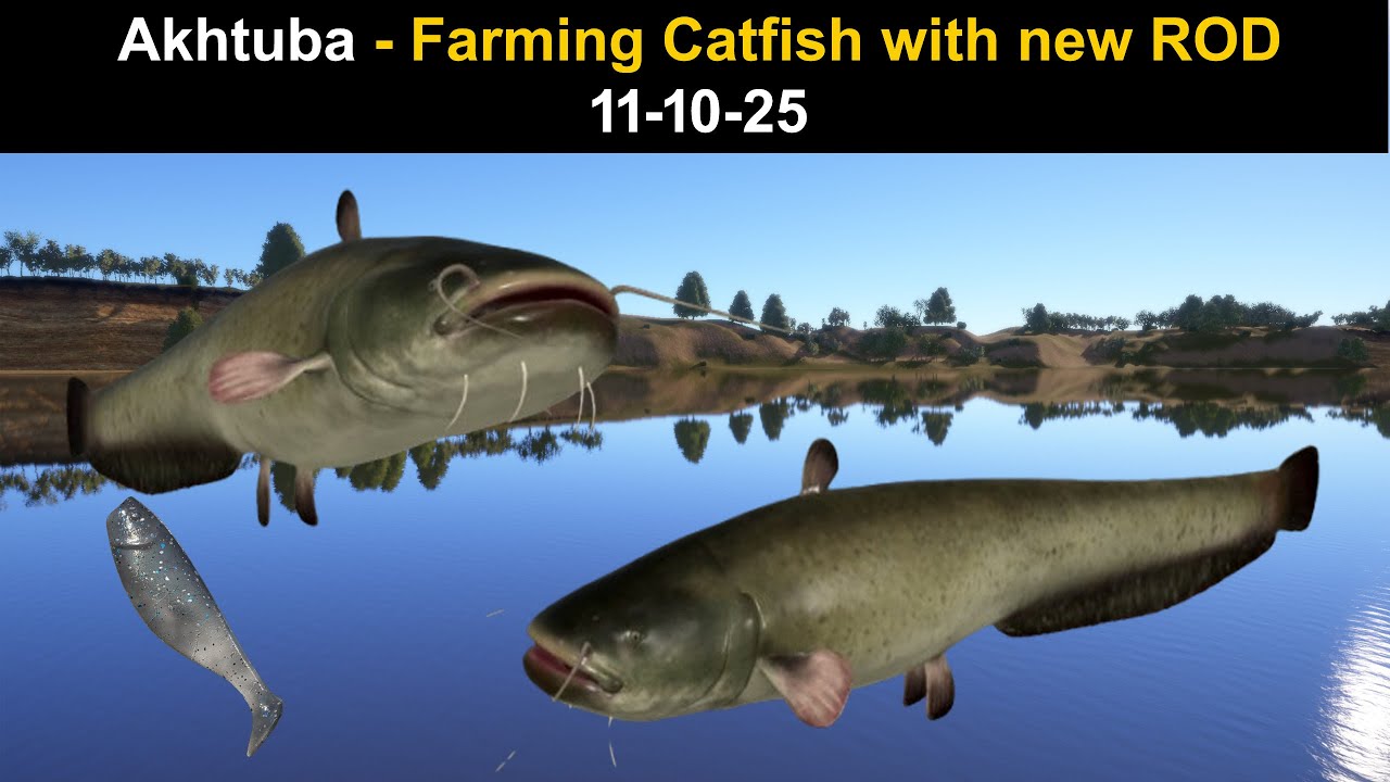 Russian Fishing 4, Akhtuba - Farming Catfish with new ROD 11-10-25