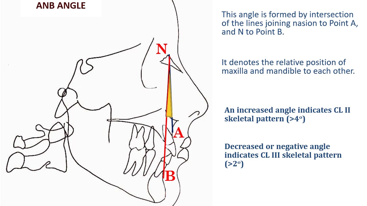 Cephalometrics Part II