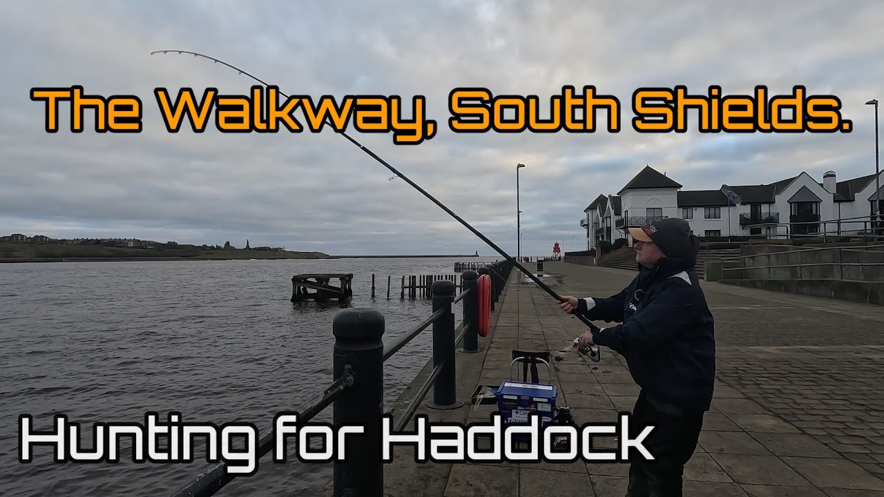 North East Sea Fishing | South Shields Walkway | Whiting And Haddock Session.