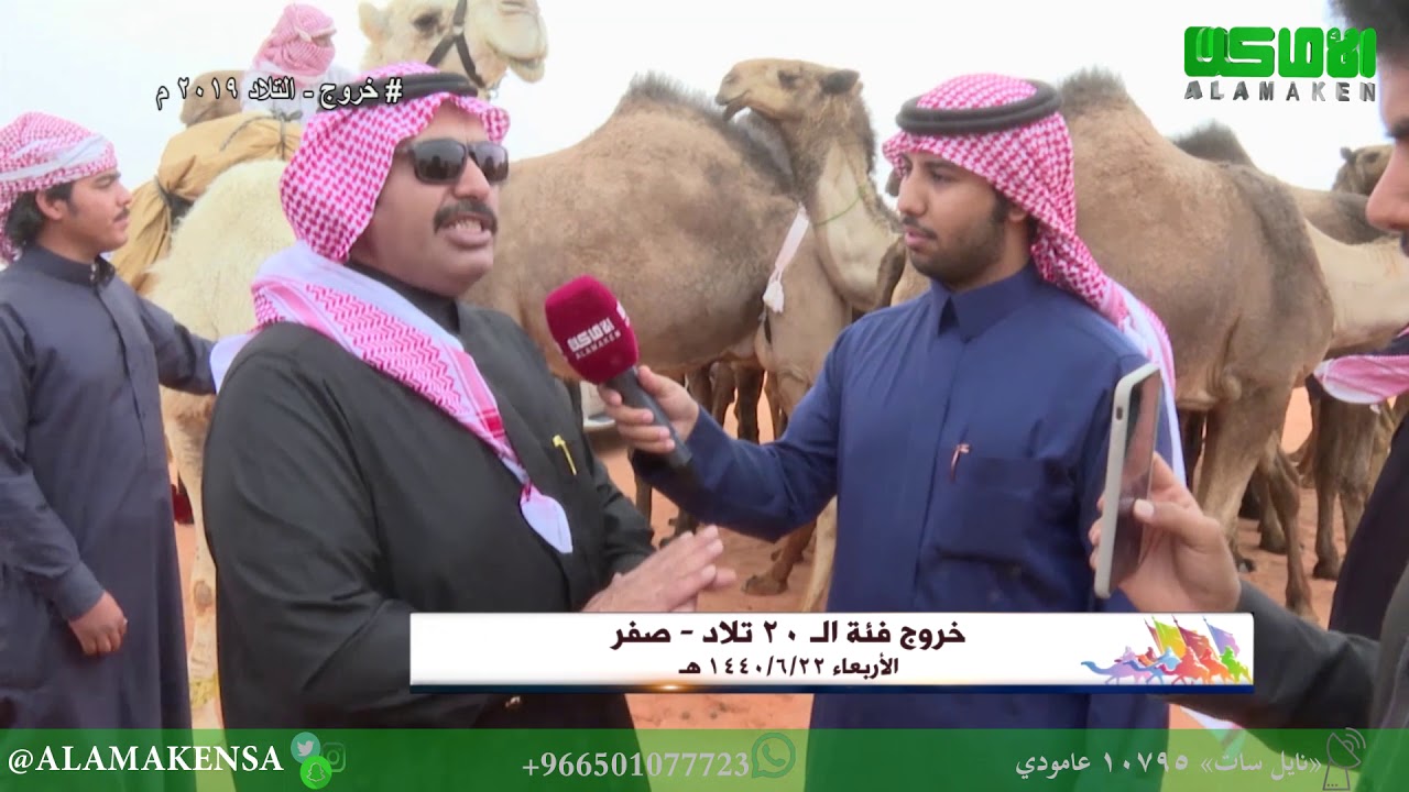 خروج فئة الـ  20 تلاد صفر 27-2-2019 مهرجان الملك عبدالعزيز للإبل 2019
