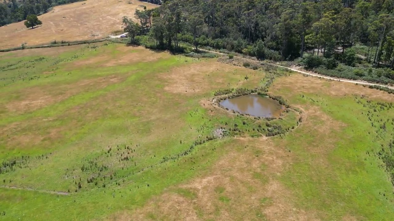 Gundagai Road farm for sale