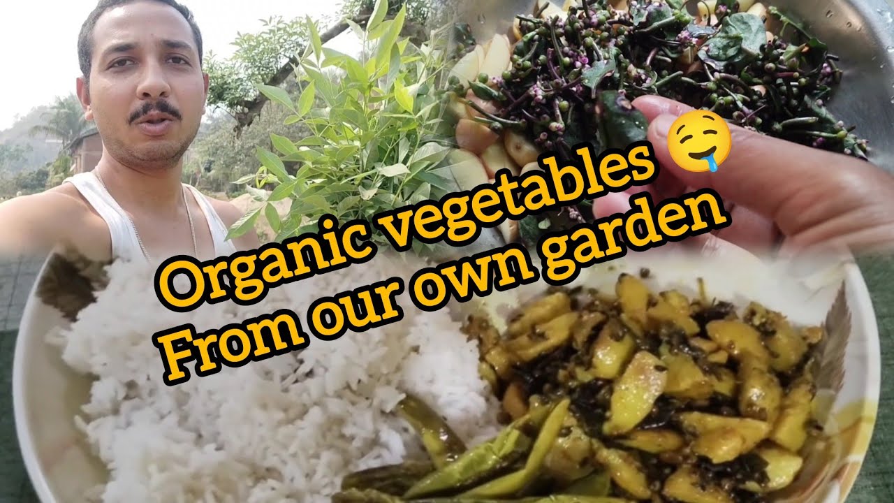 I had food with organic vegetables from our own garden.