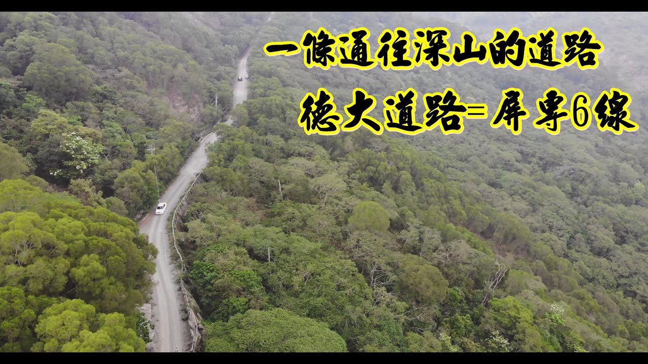 隱藏在深山裡的大社部落 德大道路=屏專6線(未來探訪大社部落擬收費)  德文部落百年雀榕病倒了