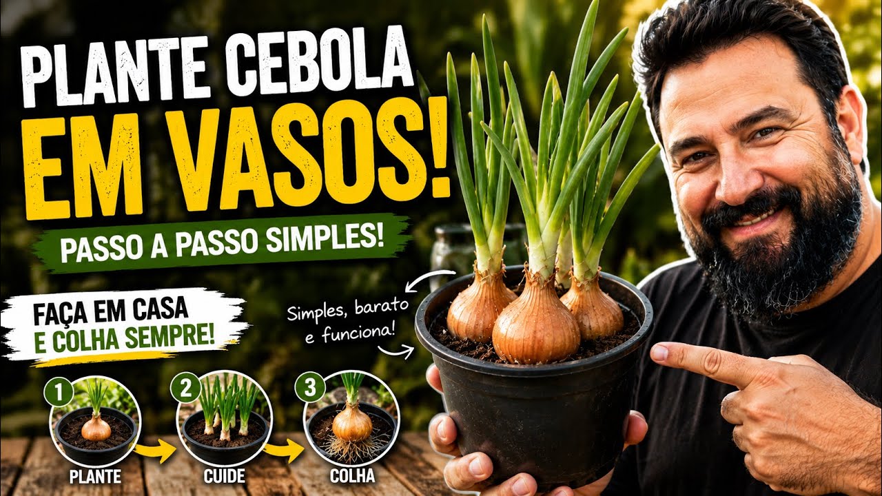 COMO PLANTAR CEBOLA EM VASOS