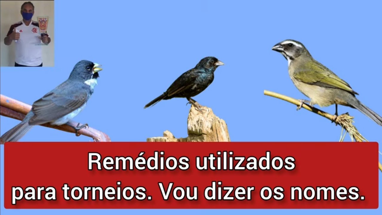 Vai fazer de 100 cantar150 de 150 cantar 200.