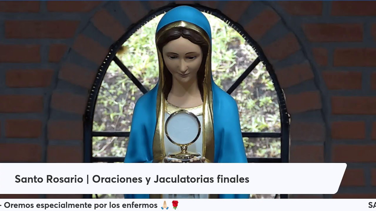 Santo Rosario ((EN VIVO)) 🔴 Misterios Gozosos | 31 de Enero de 2026