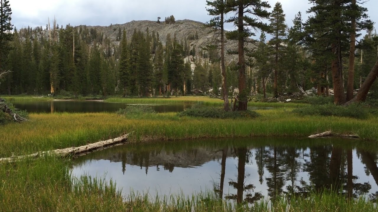 7 MILE ADVENTURE-JOHN MUIR TRAIL!