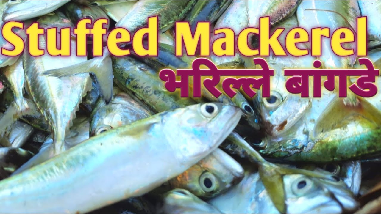 Stuffed Mackerel green masala fry | Recheado Mackerel | Bharille Bangde | stuffed fish recipe