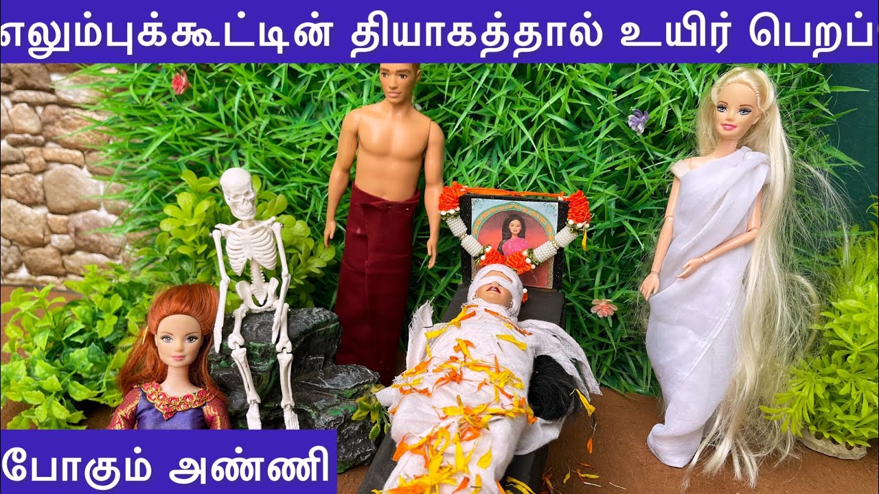 ராஜா ராணி Episodes 272|எலும்புக்கூட்டின் தியாகத்தால் உயிர் பெறப்போகும் அண்ணி|நிறுத்த பார்க்கும் காளி