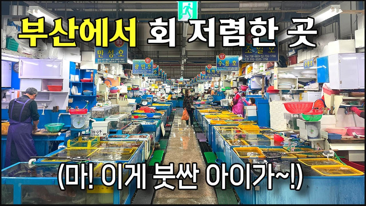 부산에서 회센터 고민은 그만~!!!(여기서 2만원이면 배터지게 먹음)
