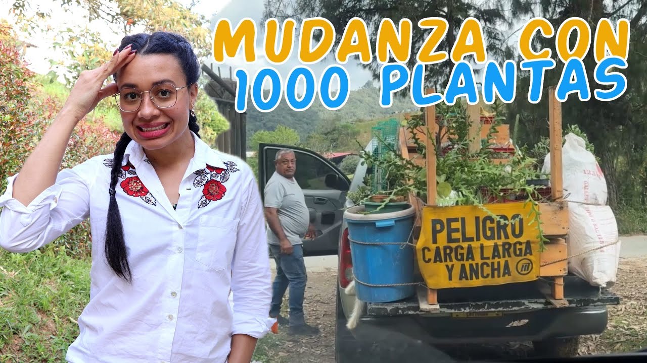 Mi mudanza con 1000 plantas: no se lo deseo a nadie 😩 │Candy Bu