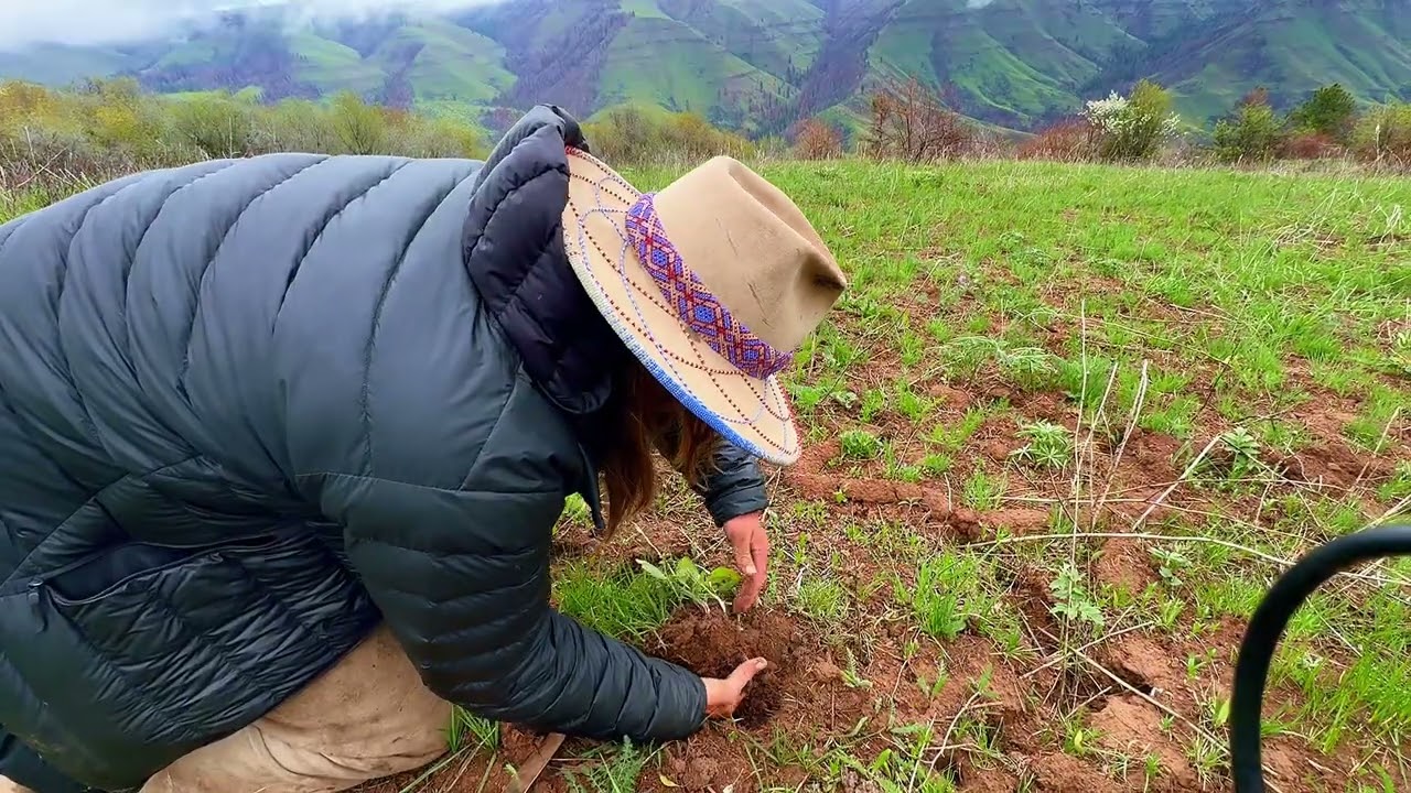Традиционные местные сады и огороды