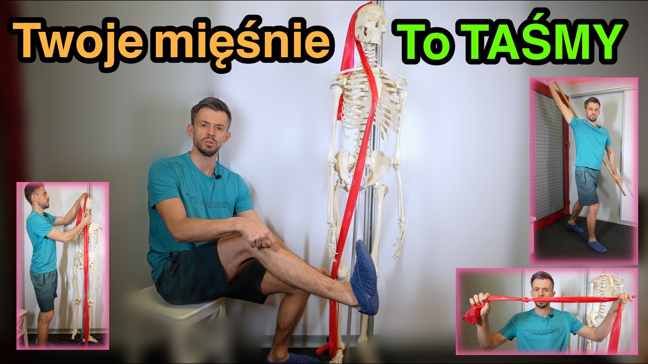 Taśmy mięśniowo-powięziowe. Dlaczego trzeba masować plecy, kiedy boli cię pięta???