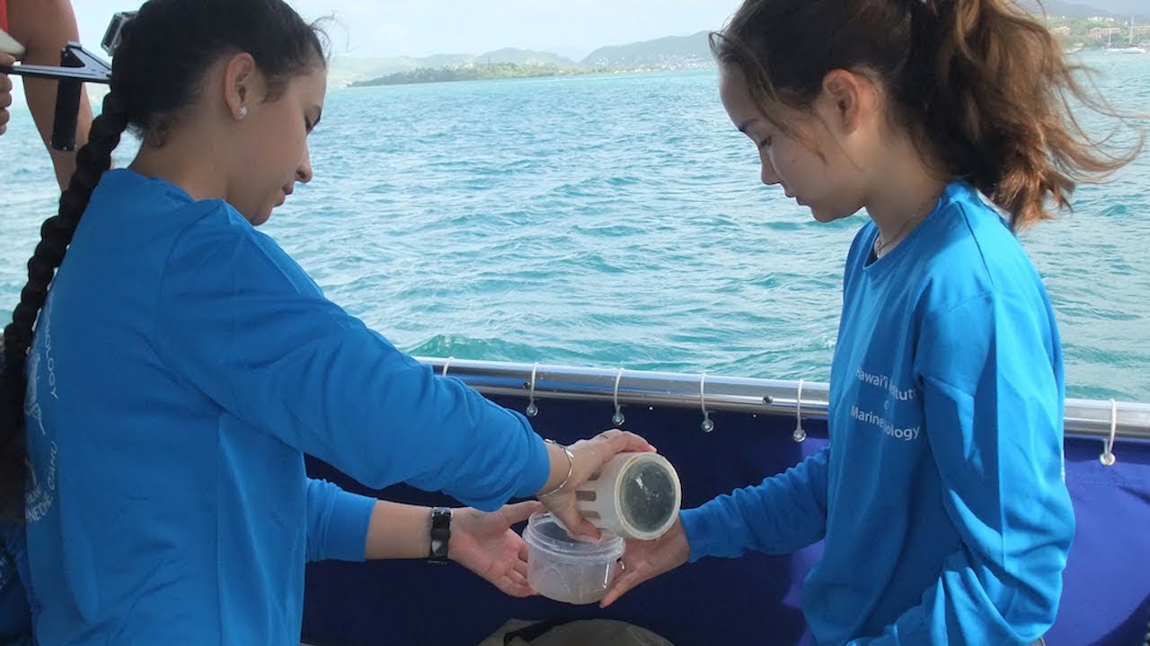 VOS5-5 Full Episode - Visiting the Hawai‘i Institute of Marine Biology