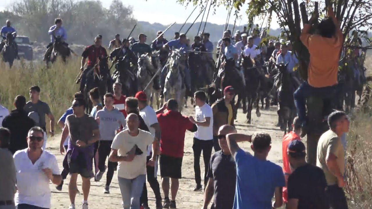Valdestillas 2024 Encierro  mixto, domingo 13 10