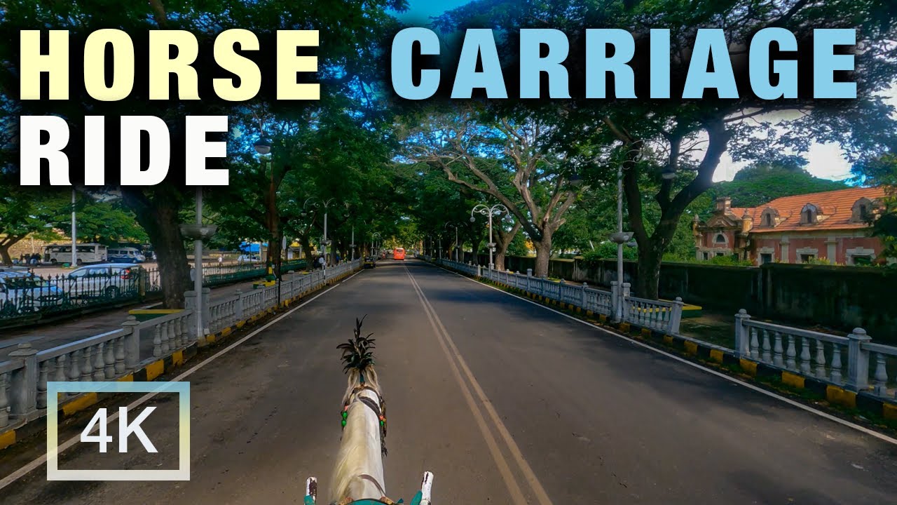 Mysore Horse Riding Tour 🏰 | Traditional Tanga Ride Near Palace & Heritage Streets