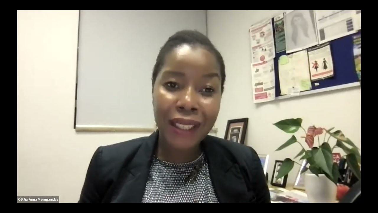 Afrika Nå: African perspectives on European migration policies