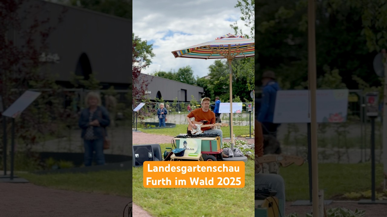 Live at #Landesgartenschau #furthimwald #rc505 #gitarre