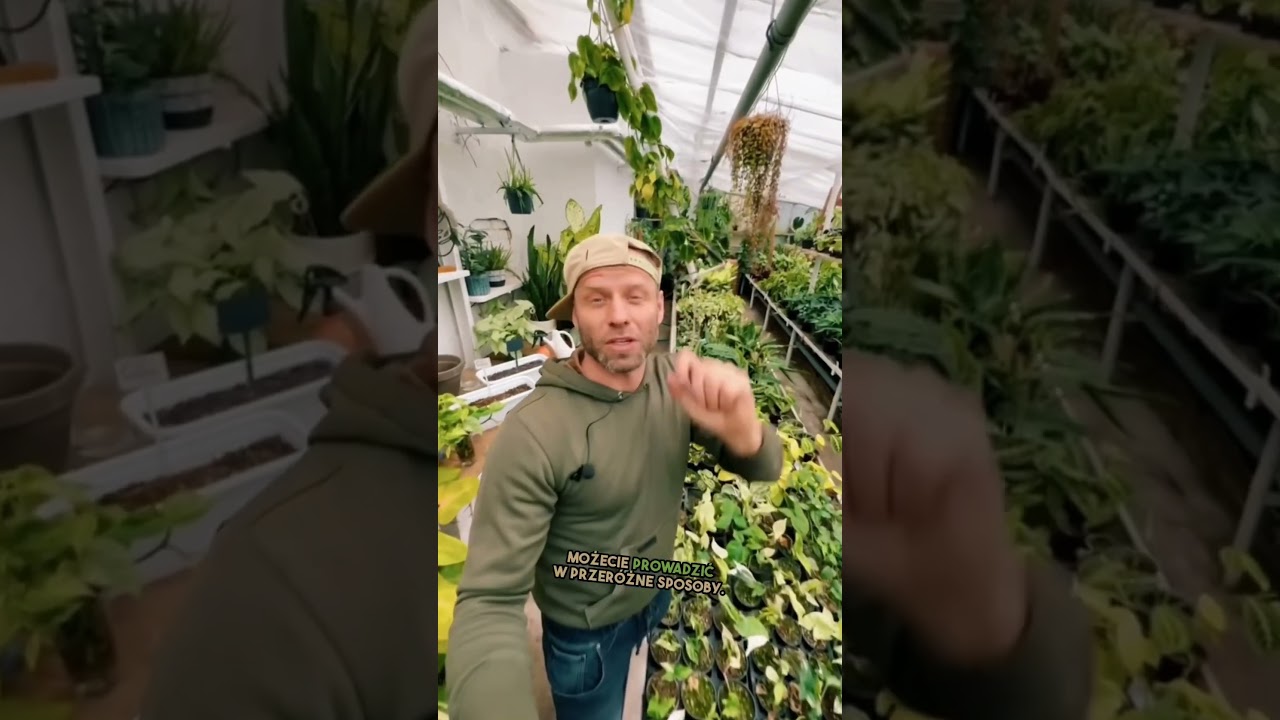 Te pnącza wybieraj bo szybko rosną w domu🔥