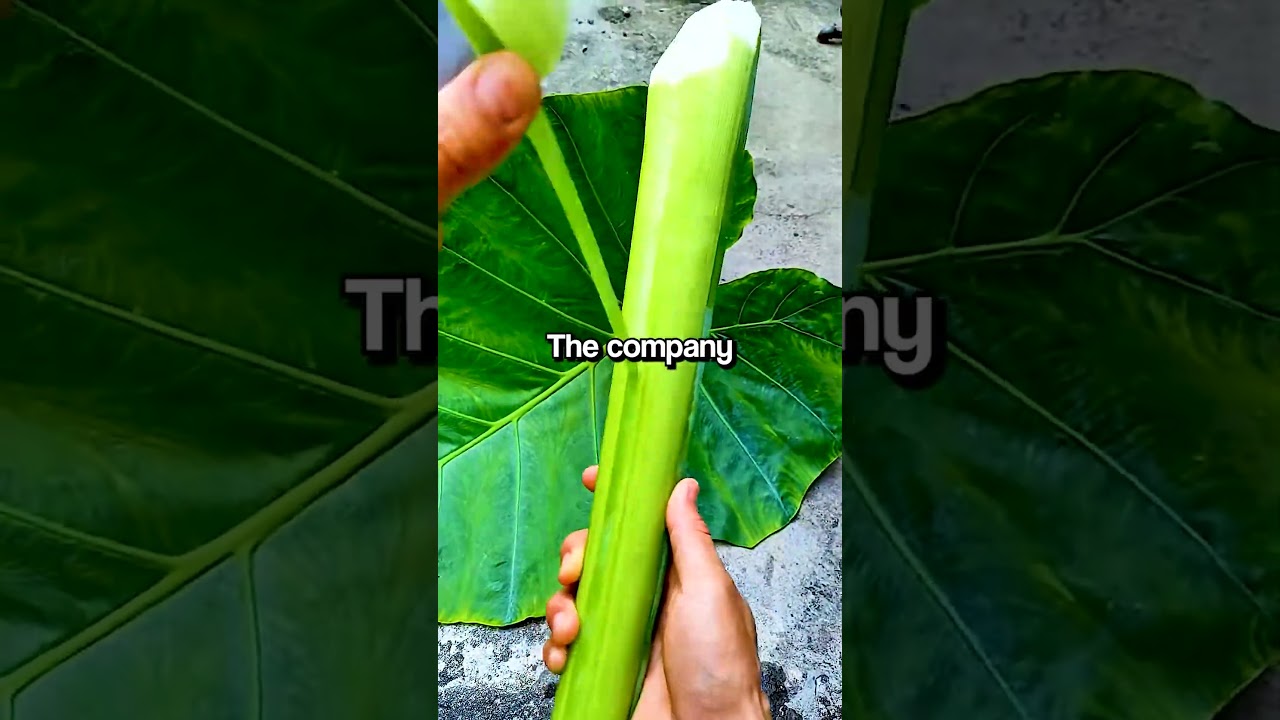 Моя мама и брат сильно унижали моего отца, после его смерти они выбросили 2 миллиона отца...