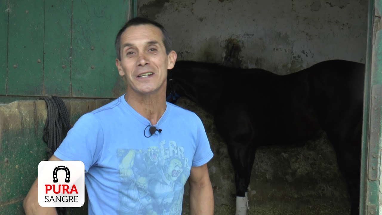 Pura Sangre Turf - Programa 8 HD