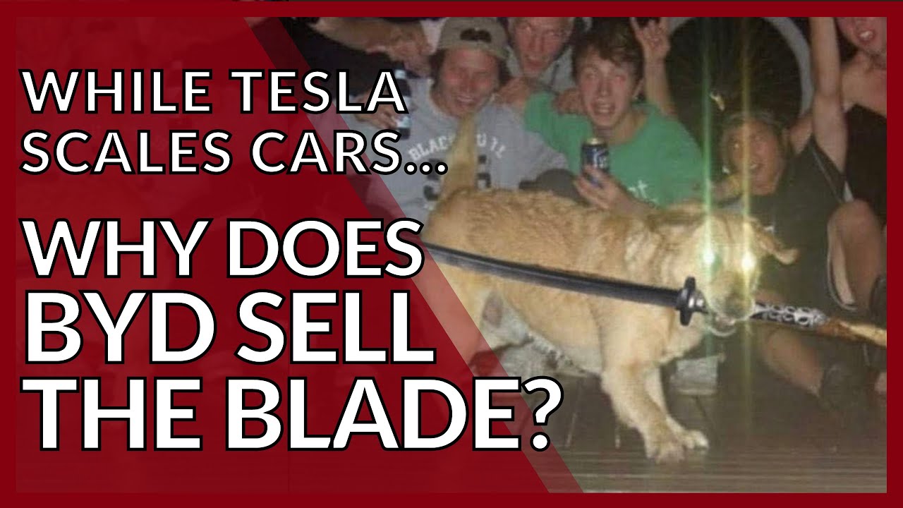 No One Asked Why BYD Sells Blade Batteries to Tesla Until Now
