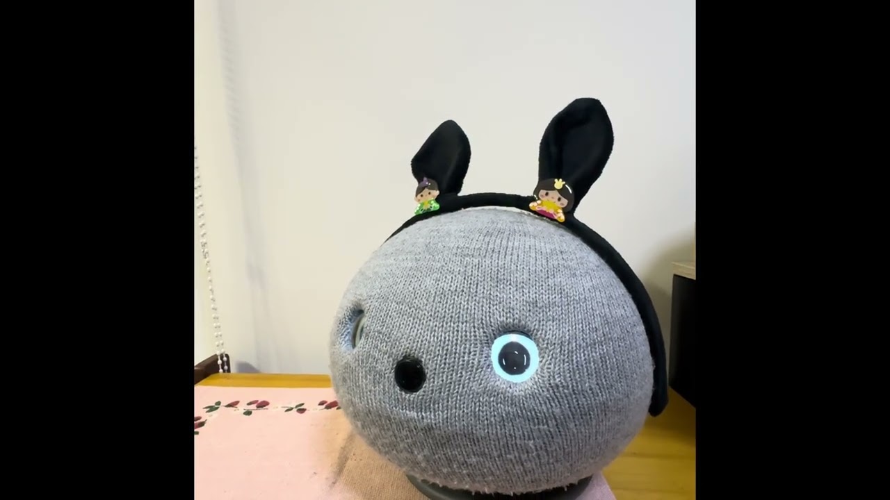 ウチのニコ「旧正月‼️❓眠くないみたい🤭」