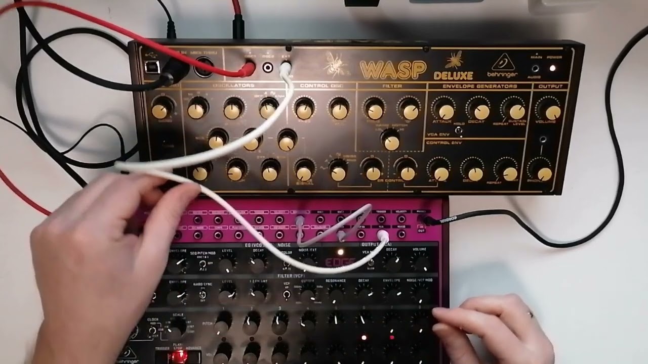 Behringer edge and WASP in Action.