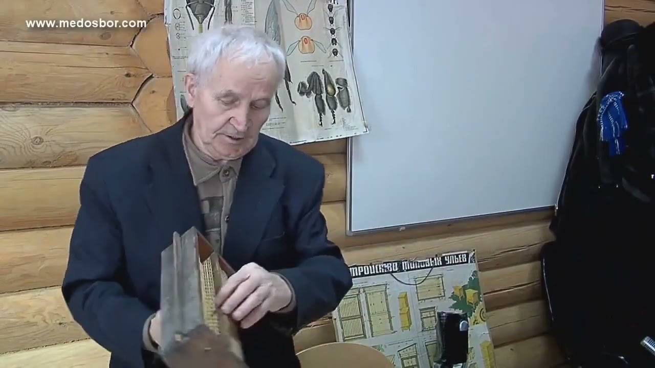 Может ли быть в семье четыре центера меда? Кашковский_ Про рекорды медосбора, пергу и пыльцесборники