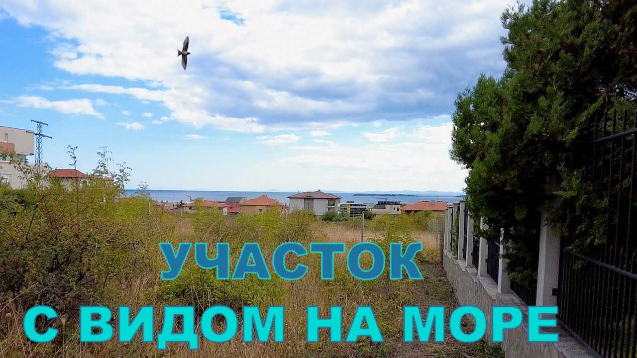 История покупки #72