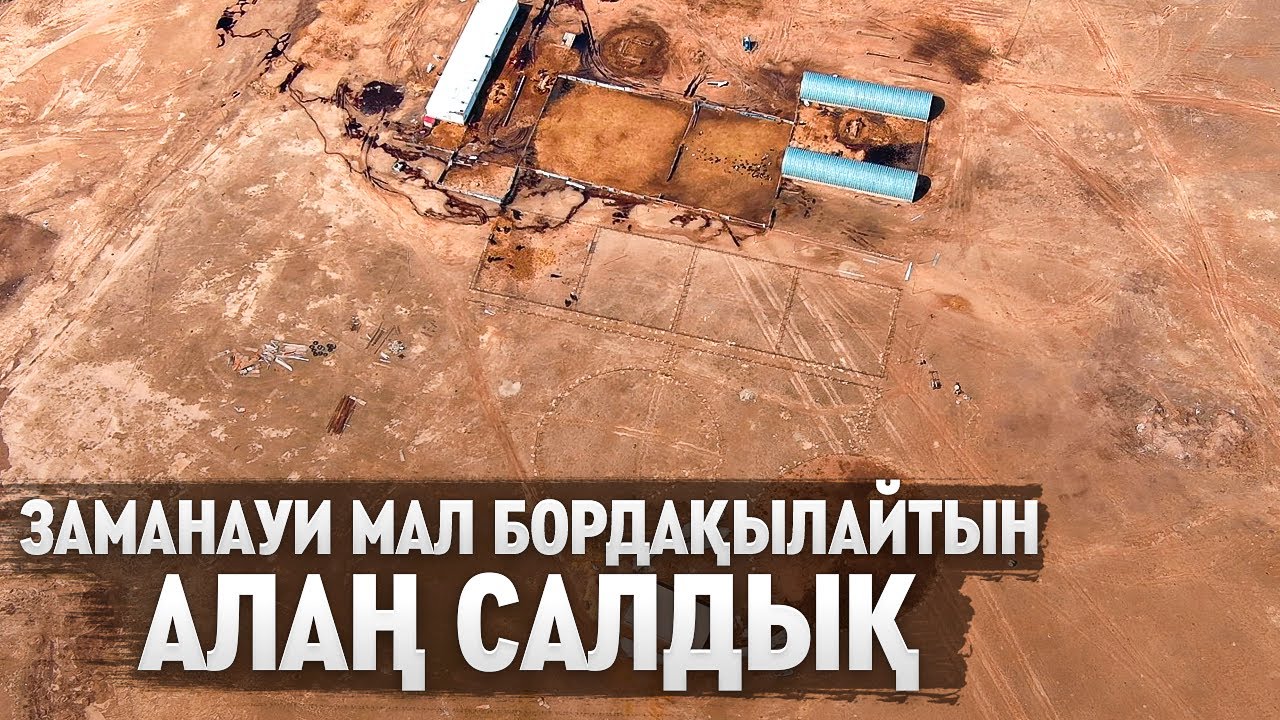БІЗДІҢ 1000 ЖЫЛҚЫ СИЯТЫН БОРДАҚЫЛАУ АЛАҢЫМЫЗ! БҰНДАЙ МАЛ БОРДАҚЫЛАУҒА АРНАЛҒАН АЛАҢ ТЕК БІЗДЕ ҒАНА!