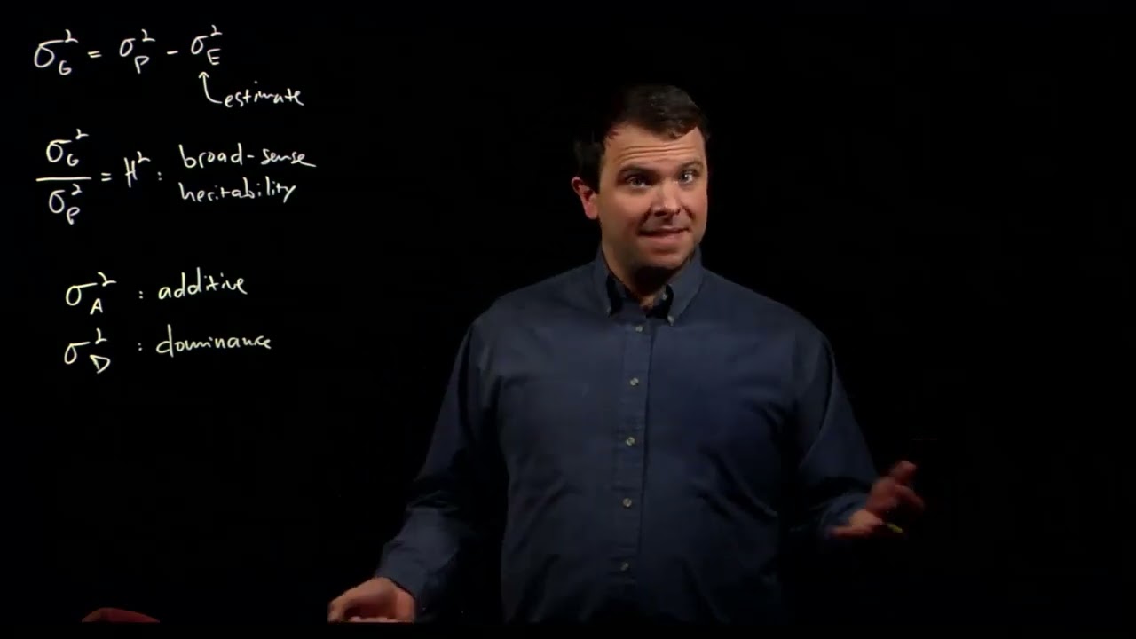 Heritability of quantitative traits