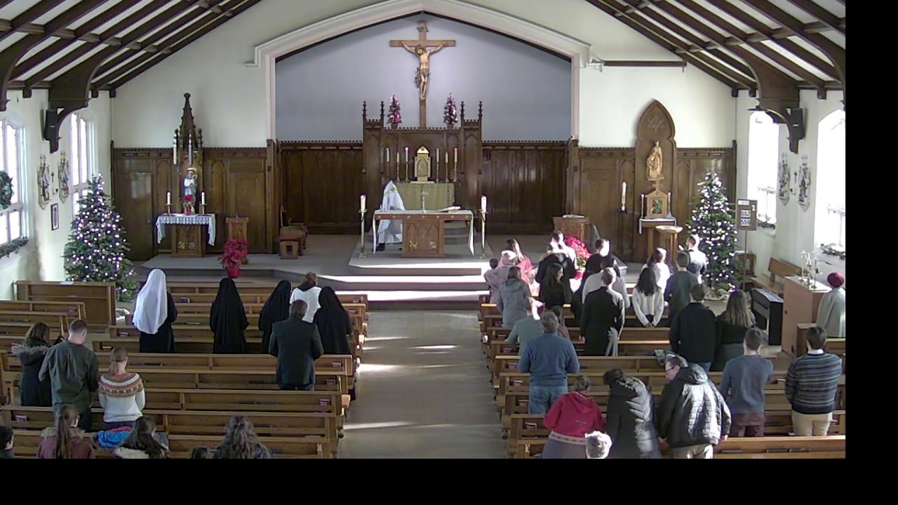 Memorial of Saint Francis de Sales, Mass (9 AM, 24 Jan 2026)