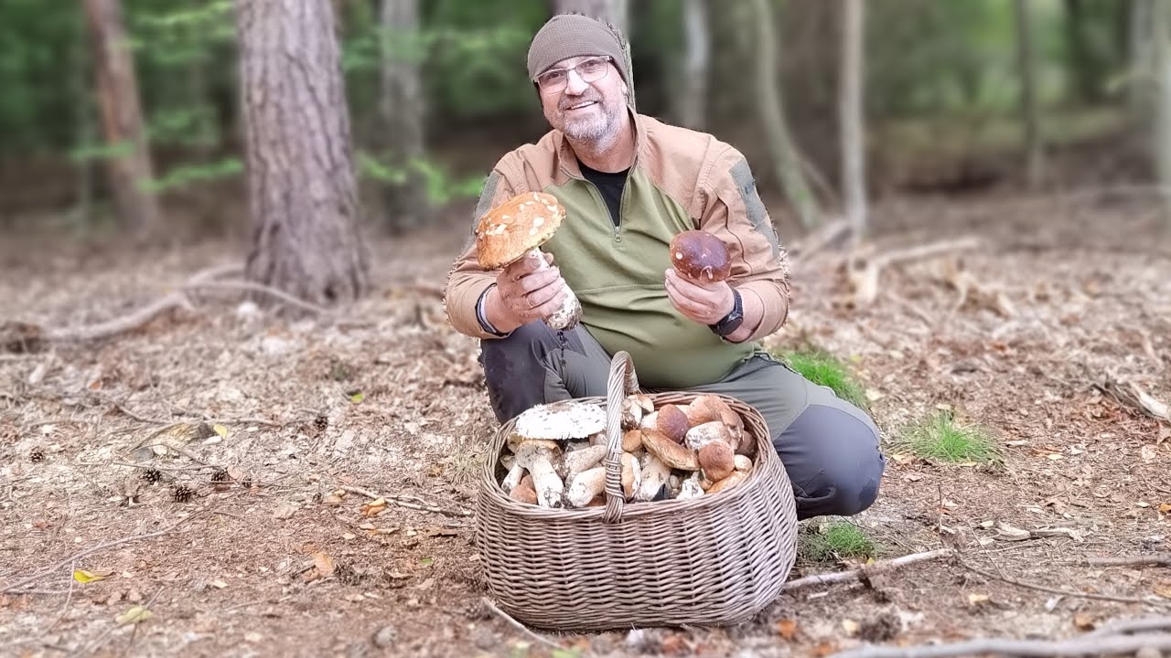 „Prawdziwki i ja – w pośpiechu przez las”