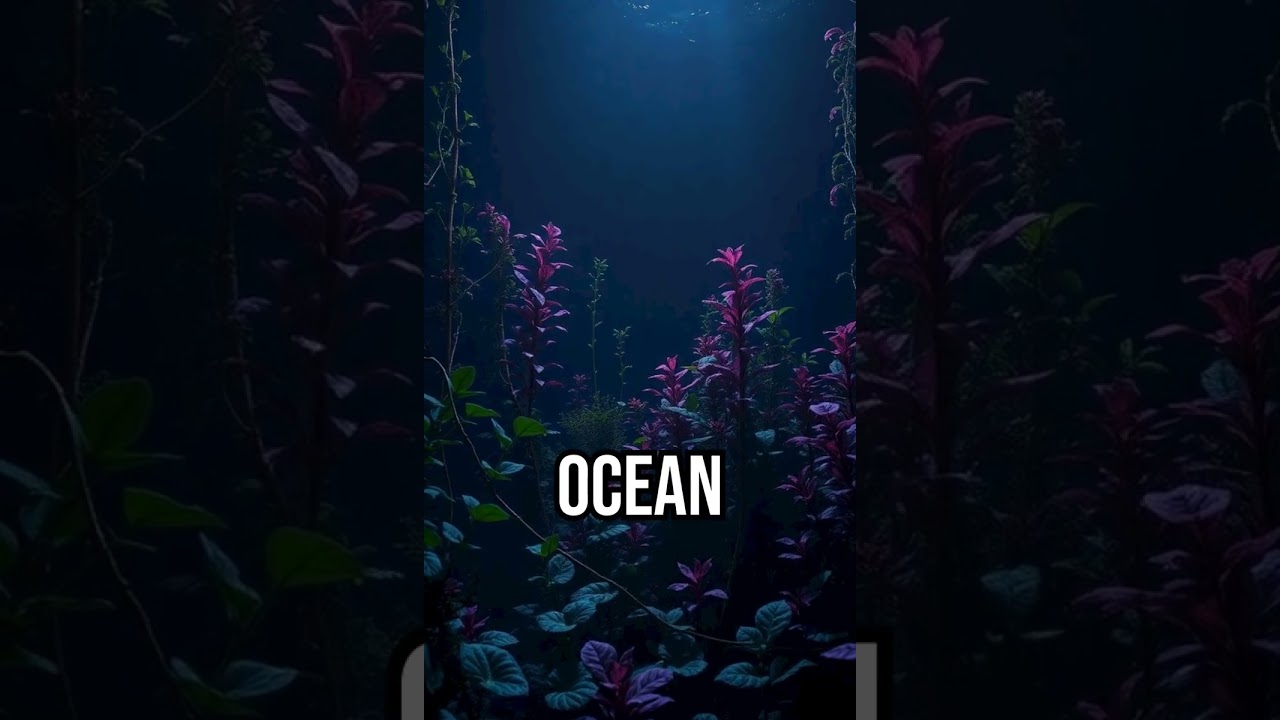 Underwater plants' moonlit secret! #photosynthesis #underwater #funfact