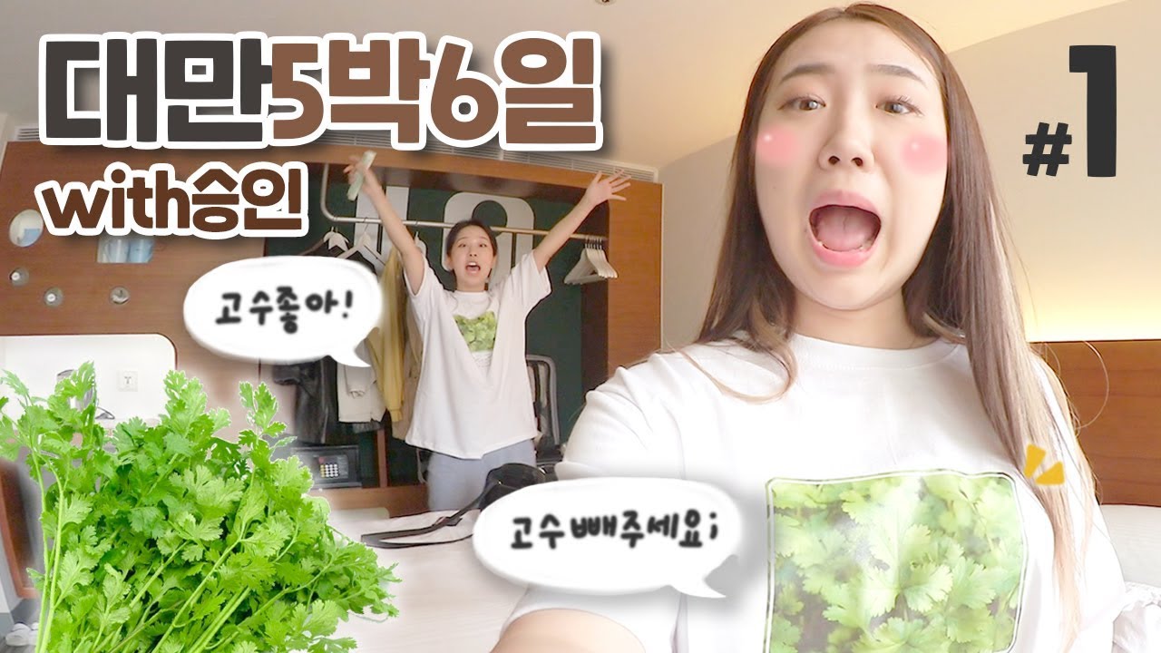 [대만샒로그] #1 고수 빼주세요 티셔츠를 본 현지인의 반응은?! / 승인언니와 첫 여행 / 맛녀석 곱창국수 영접