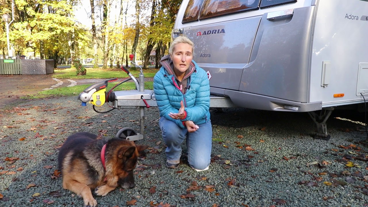 Adria - Travelling with Pets