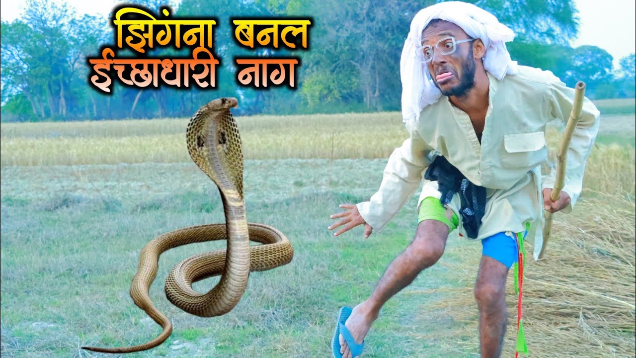 #झिंगना इच्छाधारी नाग बनकर चिरकुटवा को डेरवाया ! चिरकुटवा हुआ बेहोश #newcomedyChirkutBaba2023