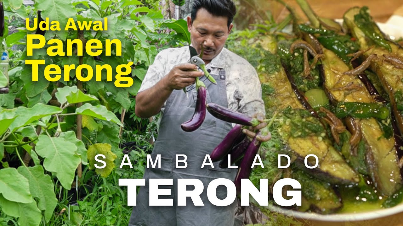 Sambalado Hijau Terong - Hasil Kebun sendiri - UDA AWAL