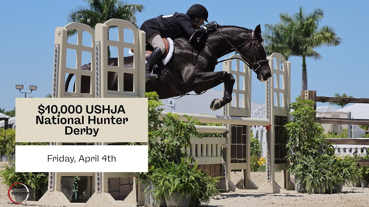 Watch the $10,000 USHJA National Hunter Derby