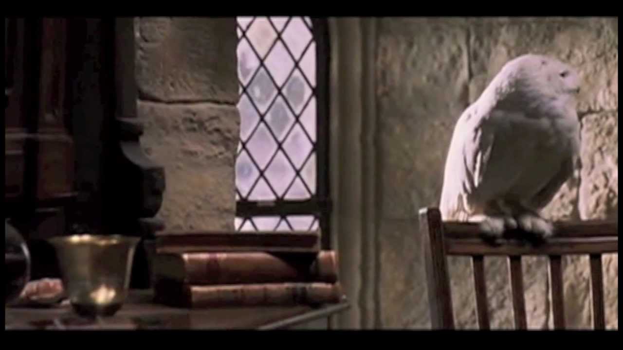 A Very Happy Harry Potter Christmas!